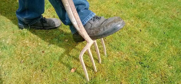 Fertilizing Your Lawn The Right Way