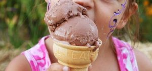 The Best Ice Cream Machines In 2018: Choose The Perfect Ice Cream Maker