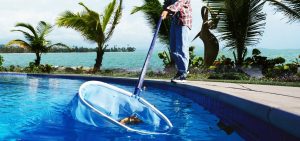 pool cleaner buying guide