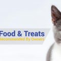The Best Cat Food & Treats In 2018 (Dry & Wet): Loved By Cats & Recommended By Owners