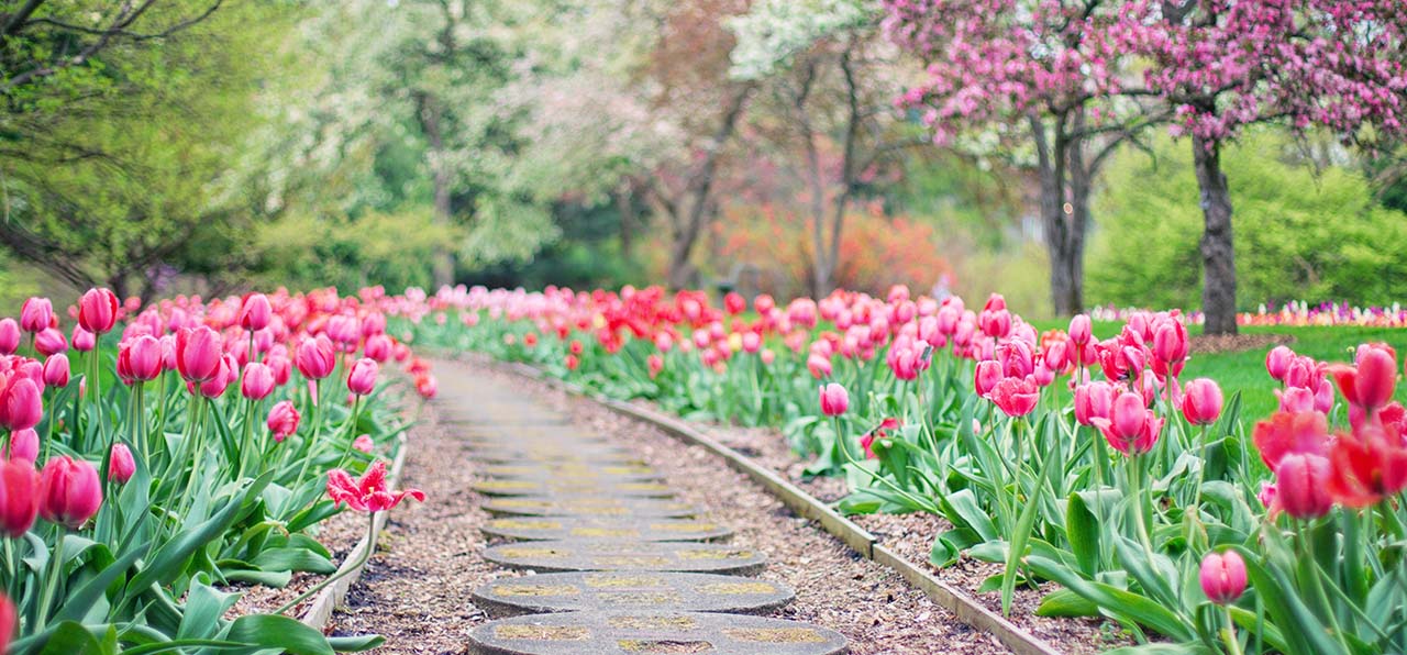 7 Power Tools That Will Help You Get Your Dream Garden Ready In No Time
