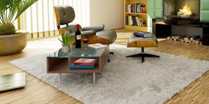 top living room rugs on the market.