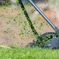 Tips For Mowing Your Lawn For a Striking Statement in The Garden