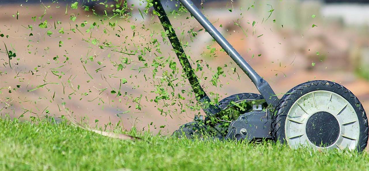 Tips For Mowing Your Lawn For a Striking Statement in The Garden