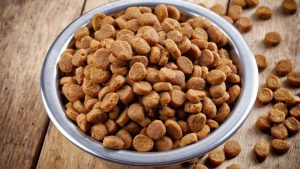 Best Dog Food: Reviews and Buying Guide 2019