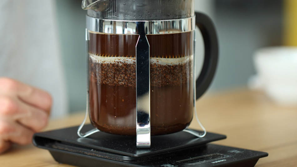 Best French Press Reviews