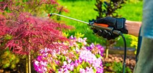 bug control gun garden