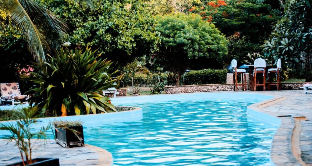 How to Get Rid of Mustard Algae an Exclusive Guide Home & Garden